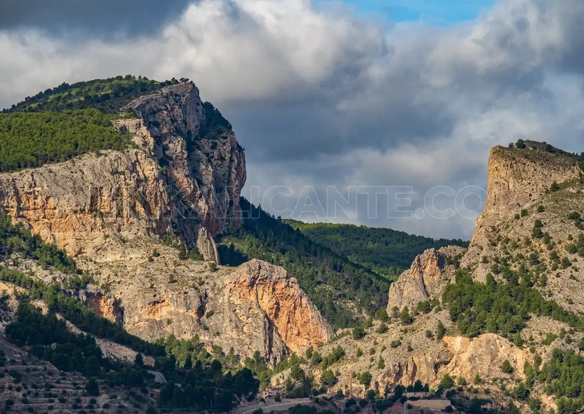 Barranc del Cint, buitrera de Alcoy