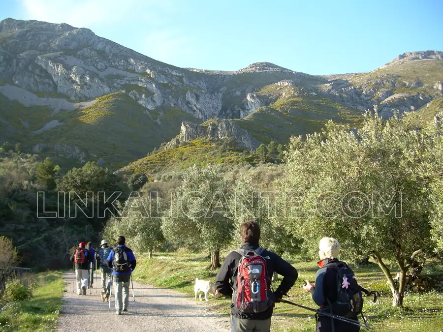 Famorca - Castellet - Barranc de la Canal