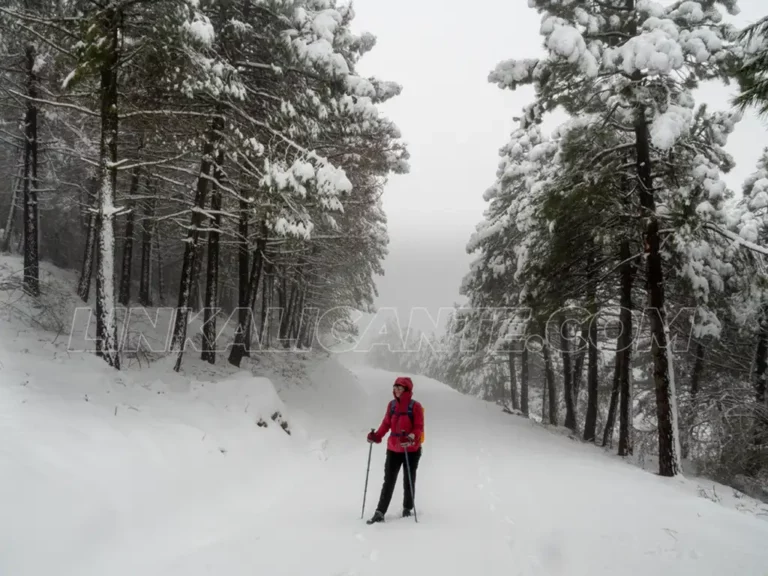 Nieve Sierra Aitana Enero 2025